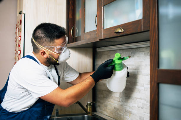 Best Wasp Removal Services  in Dunn, NC
