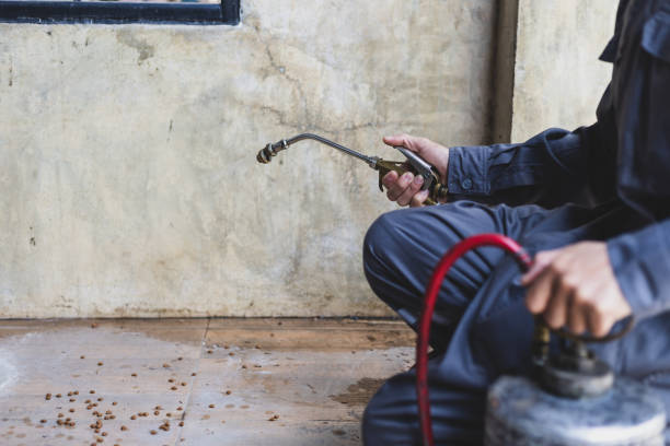 Best Emergency Pest Control  in Dunn, NC